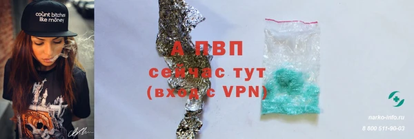 мяу мяу кристалл Иннополис