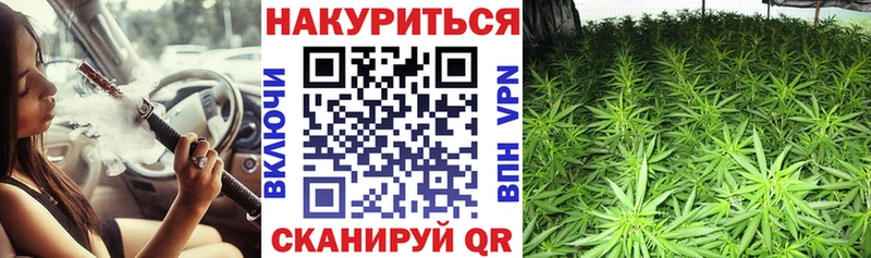 Купить закладки  Лесосибирск  Конопля конопля 